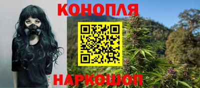 сатива Бугуруслан